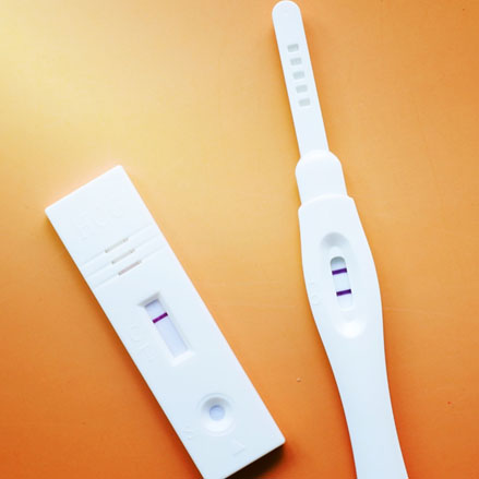 pregnancy detection kit