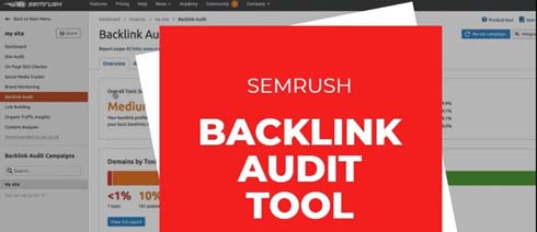 Backlink Audit Tool