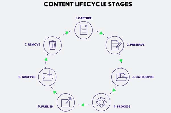 Understanding Content that Gets Linked to the Most