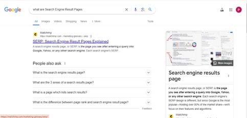 Search Engine Result Pages